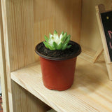 100PCS Plant Flower Pots Plastic Flower Pots Outdoor Living Garden Nursery Seedlings Pot Container