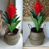 Nordic Foldable Seagrass Storage Basket Patchwork Seagrass Garden Flower Pot Planter Laundry Basket - Top-Down View