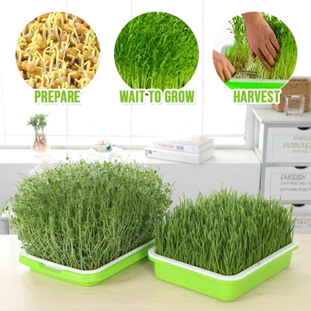 Double Layer Seedling Tray Hydroponic Nursery Tray Garden Seedling Pots