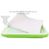 Double Layer Seedling Tray Hydroponic Nursery Tray Garden Seedling Pots - 45-Degree Angle