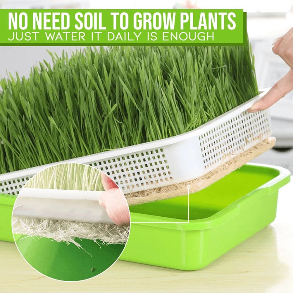 Double Layer Seedling Tray Hydroponic Nursery Tray Garden Seedling Pots