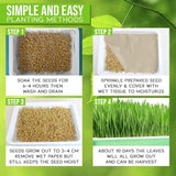 Double Layer Seedling Tray Hydroponic Nursery Tray Garden Seedling Pots - Low Angle