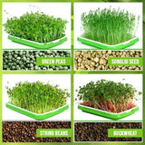 Double Layer Seedling Tray Hydroponic Nursery Tray Garden Seedling Pots
