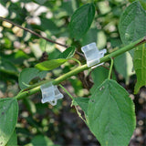 100Pcs/Set Plants Grafting Clips Garden Vine Grafting Clip Gardening Tools - 45-Degree Angle