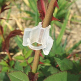 100Pcs/Set Plants Grafting Clips Garden Vine Grafting Clip Gardening Tools - Low Angle