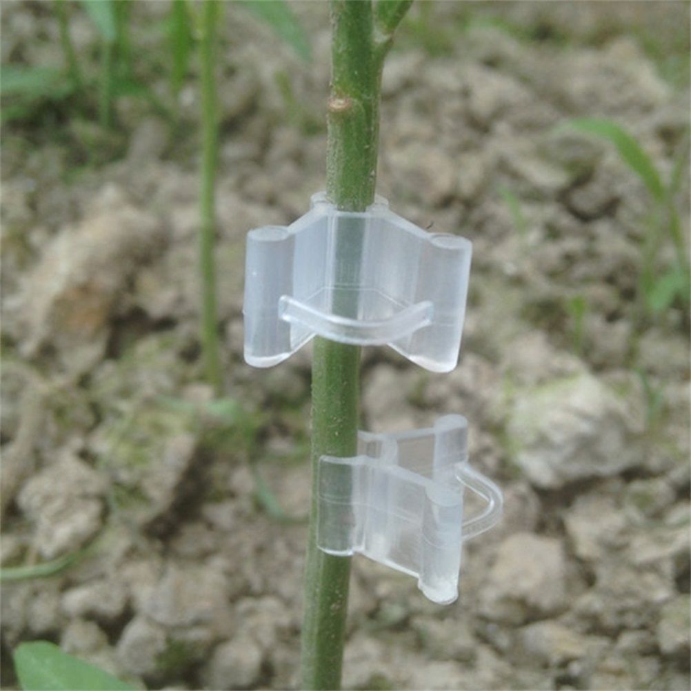 100Pcs/Set Plants Grafting Clips Garden Vine Grafting Clip Gardening Tools