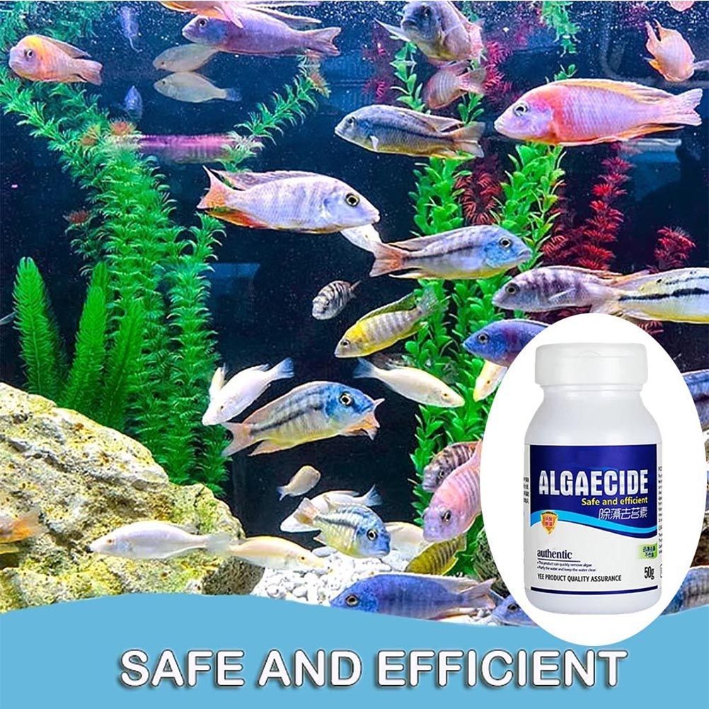 50g Aquarium Algaecide Fish Tank Algae Remover Aquarium Water Cleaner