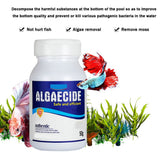 Freshwater Aquarium Algaecin Water Clarifier Eco Friendly Fish Tank Cleaner