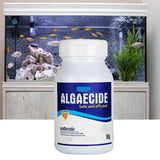 Freshwater Aquarium Algaecin Water Clarifier Eco Friendly Fish Tank Cleaner - Close-Up Angle
