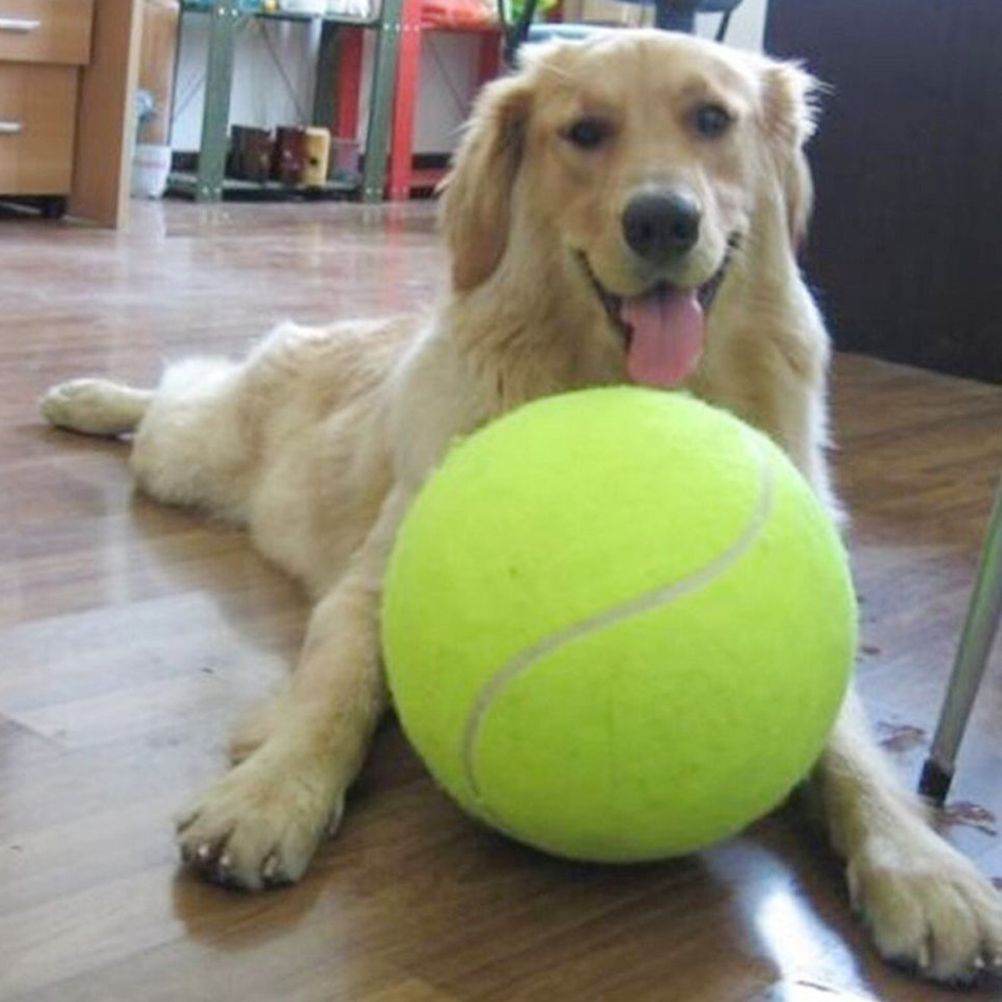 24cm Giant Tennis Ball Pet Chew Toy Inflatable Tennis Ball Signature Pet Toy