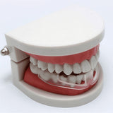 2PCS Anti Molar Braces Adjustable Anti Grinding Braces Teeth Night Protector - Rear View
