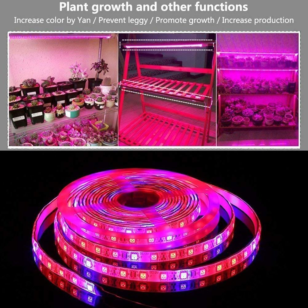 LED Plant Growth Light String 5050 SMD LED Light Waterproof Plant Light for Greenhouse