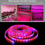 LED Plant Growth Light String 5050 SMD LED Light Waterproof Plant Light for Greenhouse - Front View