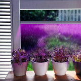 LED Plant Growth Light String 5050 SMD LED Light Waterproof Plant Light for Greenhouse - Top-Down View