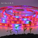LED Plant Growth Light String 5050 SMD LED Light Waterproof Plant Light for Greenhouse