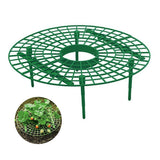 Strawberry Growing Support Practical Strawberry Rack Plant Climbing Vine Stand - Front View