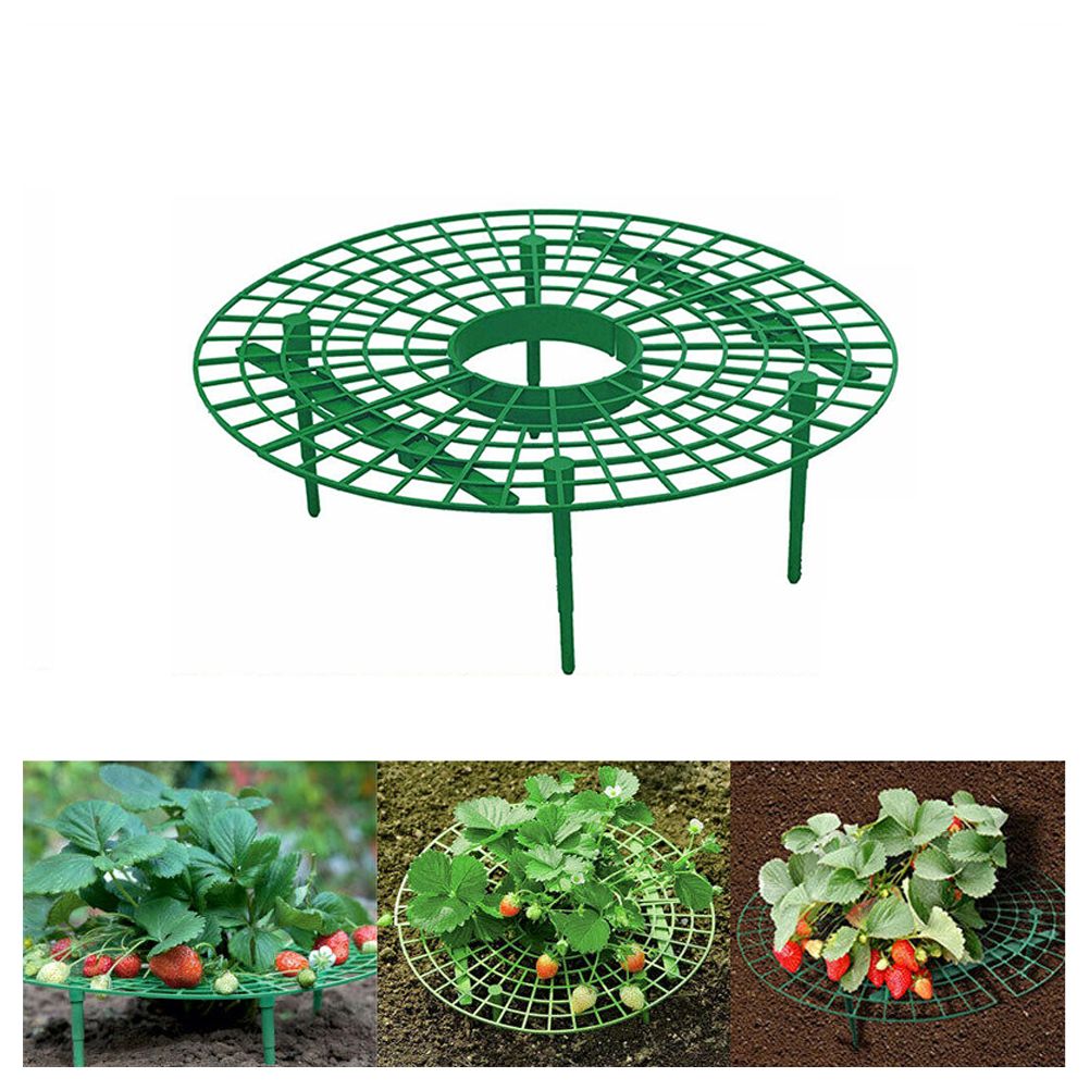 Strawberry Growing Support Practical Strawberry Rack Plant Climbing Vine Stand