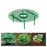 Strawberry Growing Support Practical Strawberry Rack Plant Climbing Vine Stand