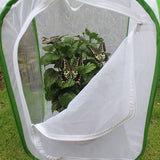 Portable Insect Butterfly Habitat Cage Insect Housing Enclosure Breeding Cage - Rear View