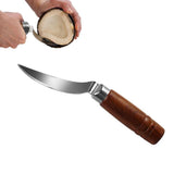 Stainless Steel Coconut Opener Knife Shell Opener Fruit Vegetable Meat Extractor Kitchen Tools