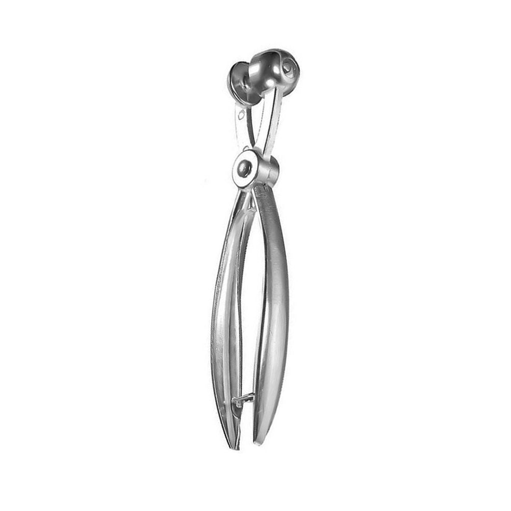 Cherry Pitter Stainless Steel Cherry Pits Remover Chopping Tool to Remove Cherries Stone