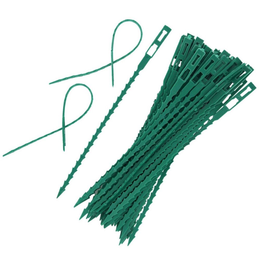 100PCS Tree Ties Adjustable Plant Ties Garden Ties Flexible Plant Cable Ties for Supporting Rose Shrub Plants