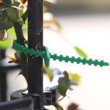 100PCS Tree Ties Adjustable Plant Ties Garden Ties Flexible Plant Cable Ties for Supporting Rose Shrub Plants