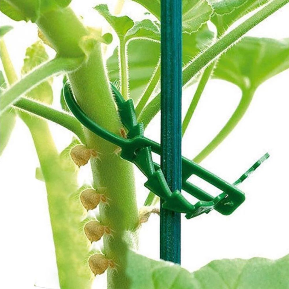 100PCS Tree Ties Adjustable Plant Ties Garden Ties Flexible Plant Cable Ties for Supporting Rose Shrub Plants