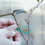 100PCS Tree Ties Adjustable Plant Ties Garden Ties Flexible Plant Cable Ties for Supporting Rose Shrub Plants - Low Angle
