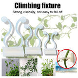 50Pcs Climbing Plant Fixture Clips Garden Vines Sticky Clips Wall Vines Fixed Holder - Low Angle