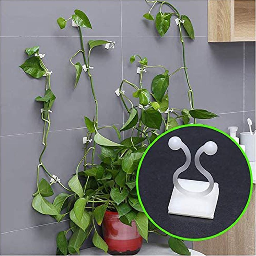 50Pcs Climbing Plant Fixture Clips Garden Vines Sticky Clips Wall Vines Fixed Holder