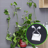 50Pcs Climbing Plant Fixture Clips Garden Vines Sticky Clips Wall Vines Fixed Holder