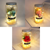 Romantic Eternal Rose Never Withered Rose Night Light Wishing Bottle Preserved Flowers Soap Rose Flower Glass Wishing Bottle