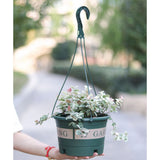 Garden Hanging Pot Plastic Hanging Flower Pot Plant Hanger with Hook