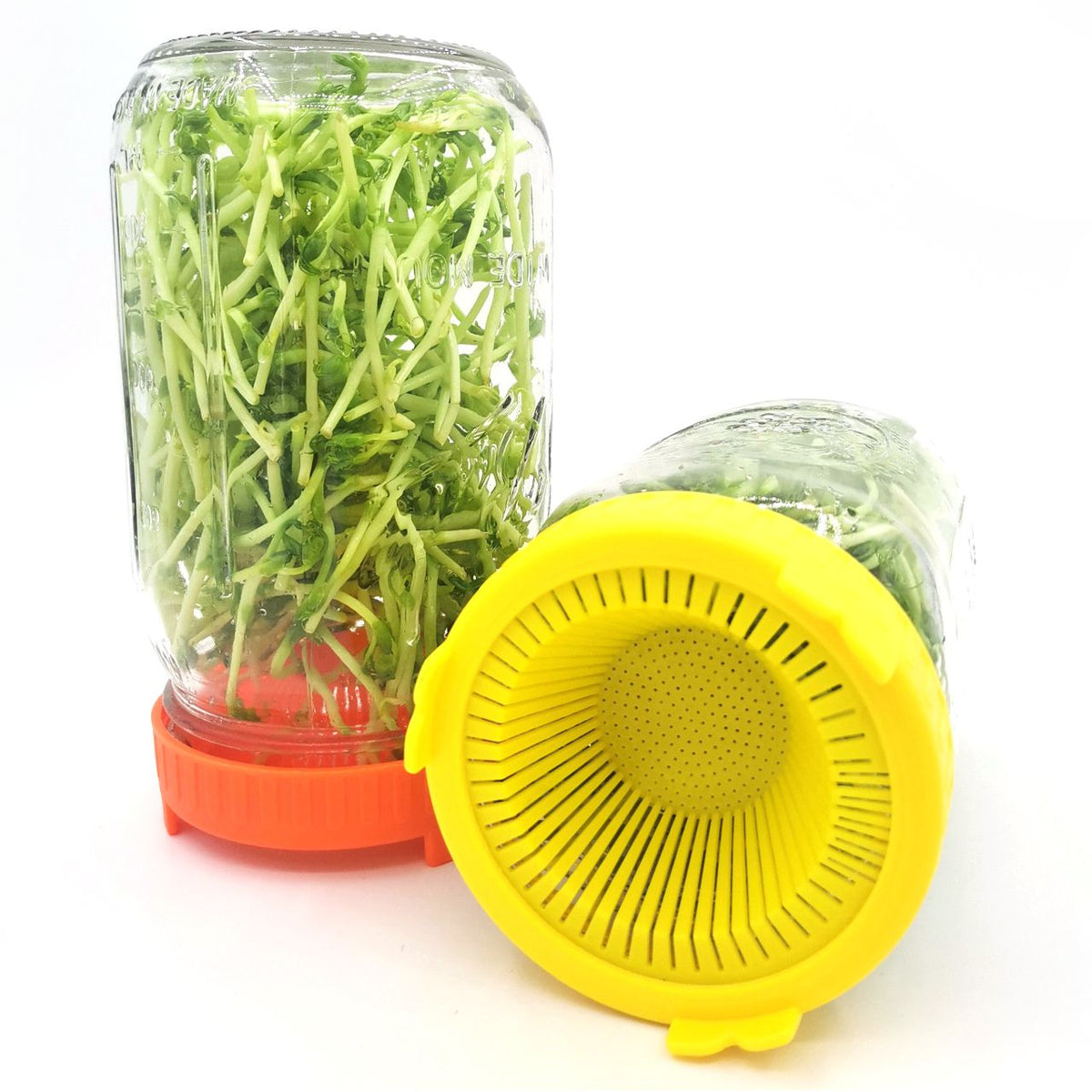 4Pcs Easy Rinse and Drain Plastic Sprouting Lids for Wide Mouth Jars