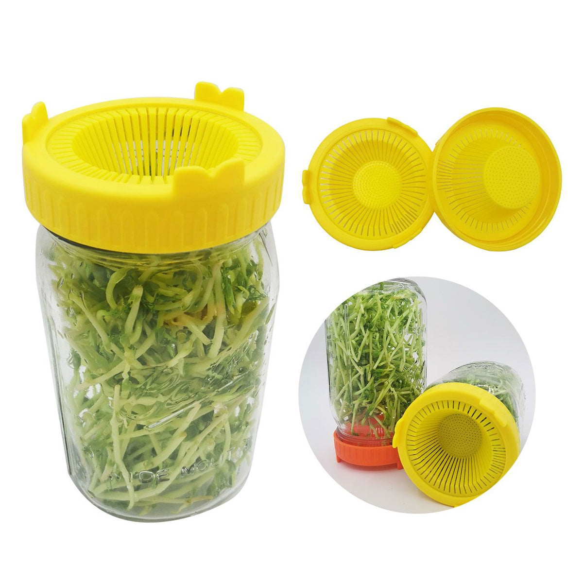 4Pcs Easy Rinse and Drain Plastic Sprouting Lids for Wide Mouth Jars