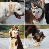 Pet Dog Collars Stainless Steel Training Collars Dog Chain Necklace for Dogs - Close-Up Angle
