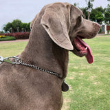 Pet Dog Collars Stainless Steel Training Collars Dog Chain Necklace for Dogs