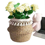 Natural Woven Straw Basket Foldable Woven Storage Basket Plant Straw Basket - Front View