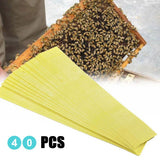 40Pcs Manhao Fluvalinate Stripes Mite Varroa Beekeeping Medicine - 45-Degree Angle