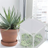 Insect Observation Cage PVC Mesh White Reusable Butterfly Habitat Breeding Incubator Box Reversed U Shaped - Extra Image