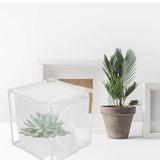 Insect Observation Cage PVC Mesh White Reusable Butterfly Habitat Breeding Incubator Box Sleeve Shaped