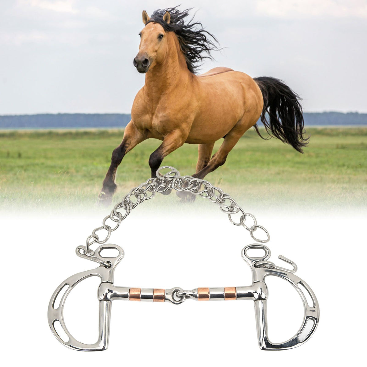 Horse Bit Stainless Steel Copper D Ring Snaffle Bit with Chain for 125mm Horse Mouth