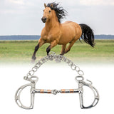 Horse Bit Stainless Steel Copper D Ring Snaffle Bit with Chain for 125mm Horse Mouth - Extra Image