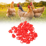 100pcs Poultry Feet Rings PP Plastic Reusable Chicken Duck Goose Leg Bands for Identification Red 16mm/0.6in - Extra Image