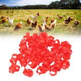 100pcs Poultry Feet Rings PP Plastic Reusable Chicken Duck Goose Leg Bands for Identification Red 16mm/0.6in - Extra Image