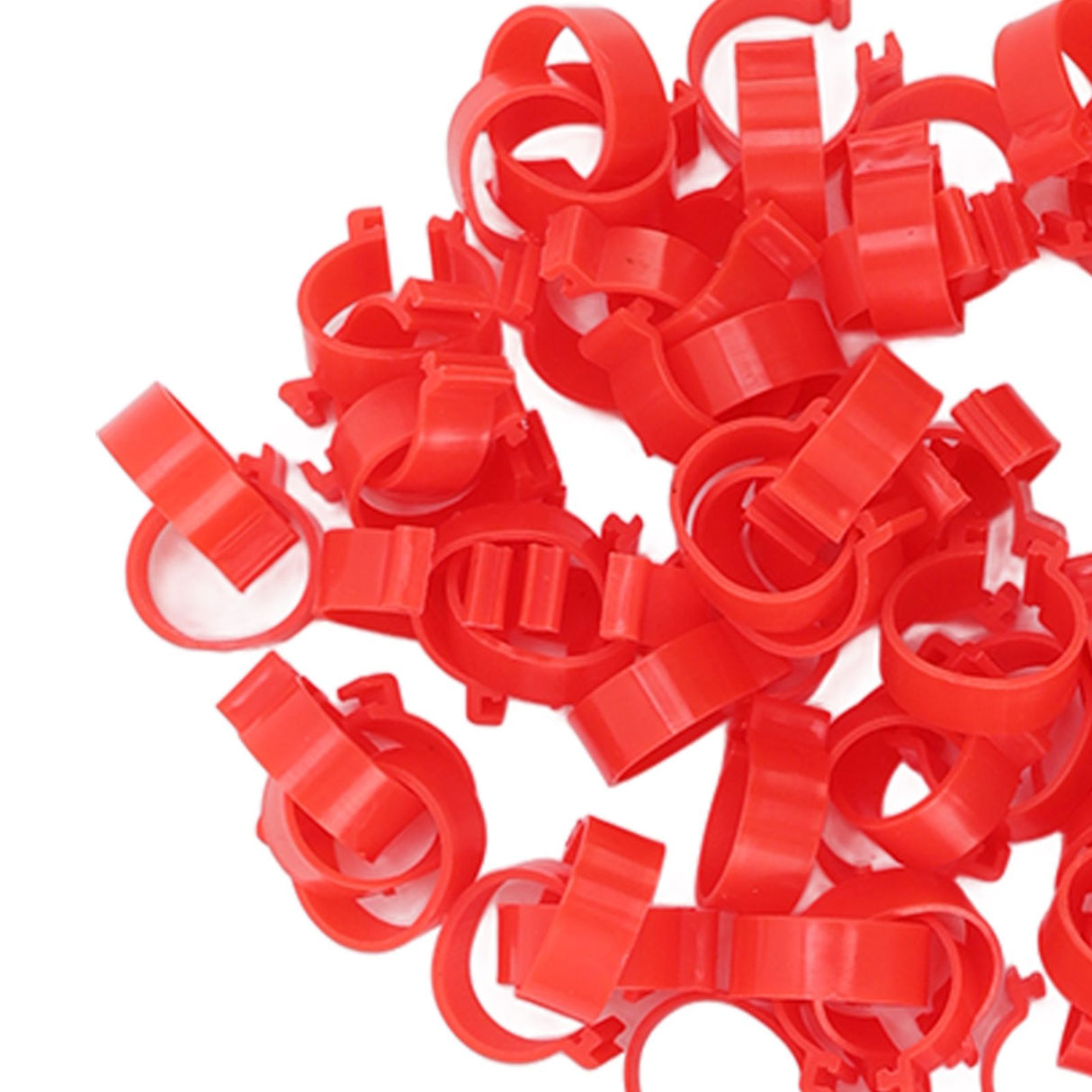 100pcs Poultry Feet Rings PP Plastic Reusable Chicken Duck Goose Leg Bands for Identification Red 16mm/0.6in