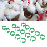 100 Pcs Poultry Feet Ring Open Type Buckle Breeding Chicken Duck Goose Foot Ring Chicken Accessory Green 18mm
