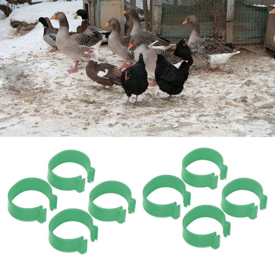 100 Pcs Poultry Feet Ring Open Type Buckle Breeding Chicken Duck Goose Foot Ring Chicken Accessory Green 18mm