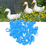 100Pcs Poultry Foot Ring Chicken Bird Duck Identification Leg Bands Open Type Buckle Chicken Ankle Rings Blue 18mm